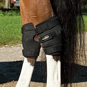 Back on Track Hock Boots