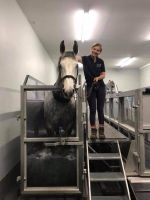 Equine Spa