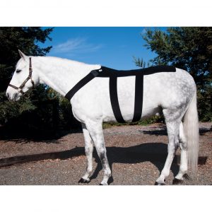 IceHorse® BACK BLANKET