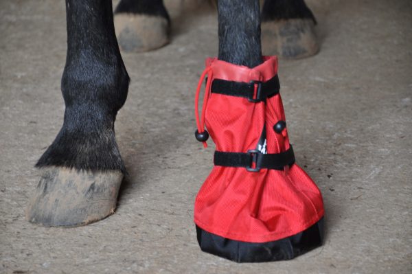 10 Horse Hoof Socks Pastern Wraps Simplify Boot Fitting 