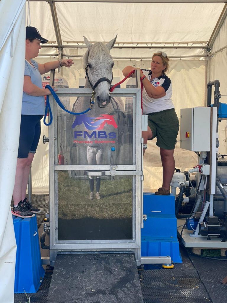 Equine Spa - FMBS Therapy Systems