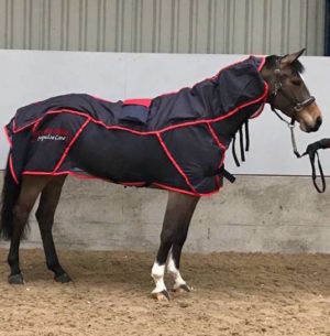 4yr old reconditioned Combi Pro II - PEMF and massage rug