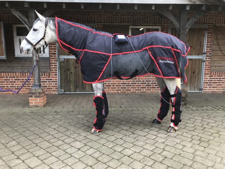 ActivoMed Combi Pro Rug with front and hind PEMF leg wraps FMBS