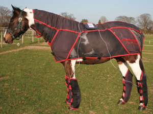 9yr old reconditioned Combi Pro I - PEMF and massage rug