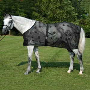 Static Magnetic Therapy