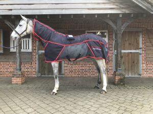 5 year old Combi Pro II - PEMF and massage rug