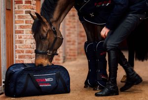Alternative view of Activo-Med Combi Pro II Rug with front leg wraps