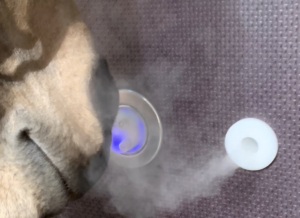 Salt and Oxygen Therapy