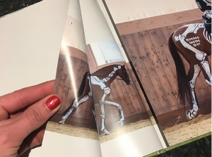 Alternative view of Anatomy In Action by Gillian Higgins