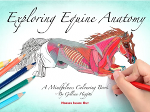Exploring Equine Anatomy by Gillian Higgins
