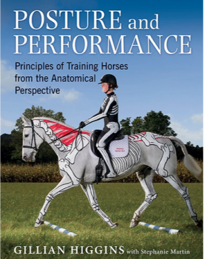Posture and Performance by Gillian Higgins