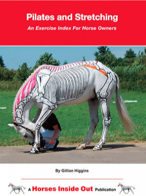 Pilates and Stretching for Horses by Gillian Higgins