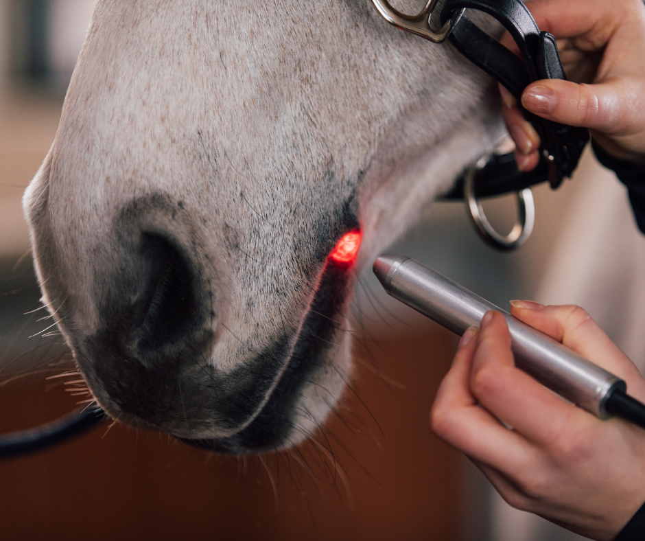 Light Therapy Pen(PEMF and Infrared or Red Light Therapy)