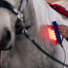 Premium Handheld Cluster (PEMF, Infrared Light Therapy & Massage Therapy)