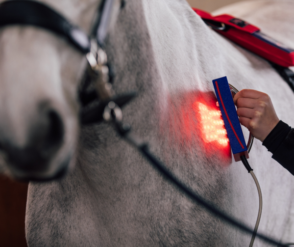 Premium Handheld Cluster System (PEMF, Infrared Light Therapy & Massage Therapy)