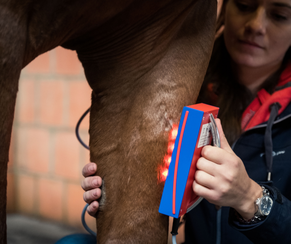 Premium Handheld Cluster System (PEMF, Infrared Light Therapy & Massage Therapy) - Image 5
