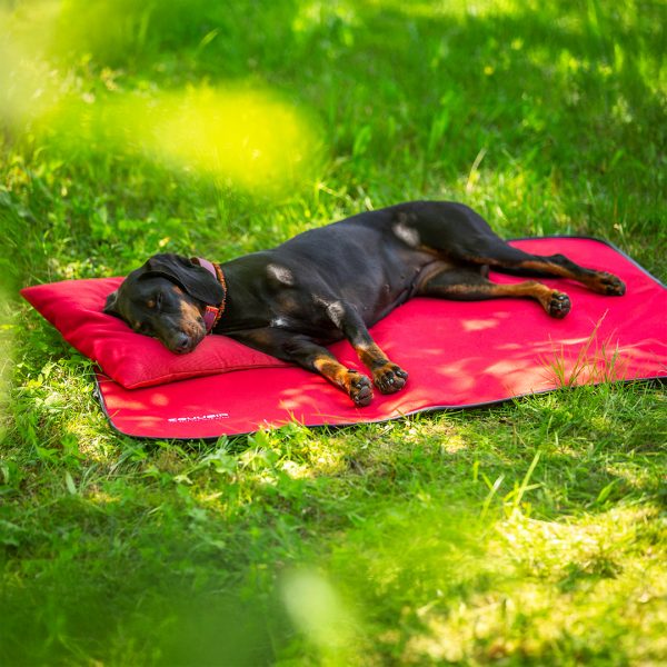 BIOS Dog Blanket - Image 4